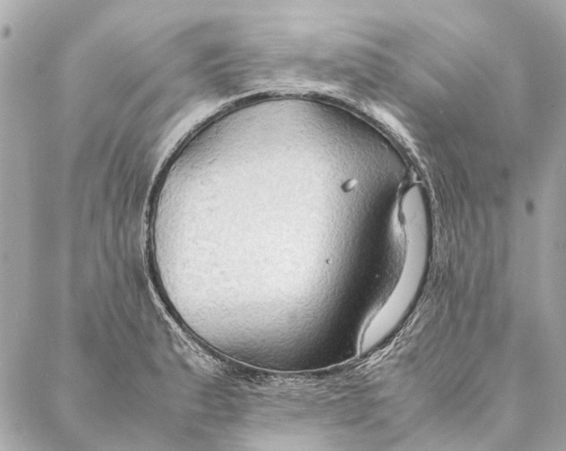 X0000086941183200705071410