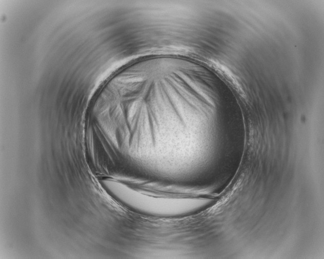 X0000086941184200705071410