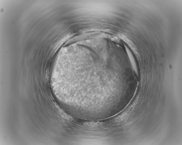 X0000086941185200705071410