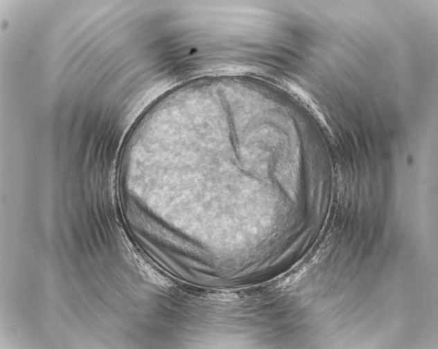 X0000086941186200705071410