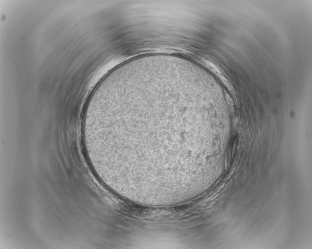 X0000086941187200705071410