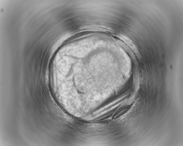 X0000086941188200705071410