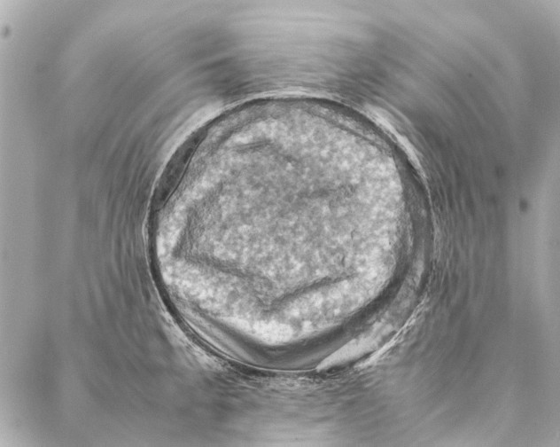 X0000086941189200705071410