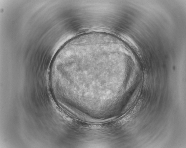 X0000086941190200705071410