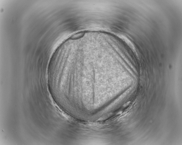 X0000086941191200705071410