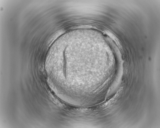 X0000086941193200705071410