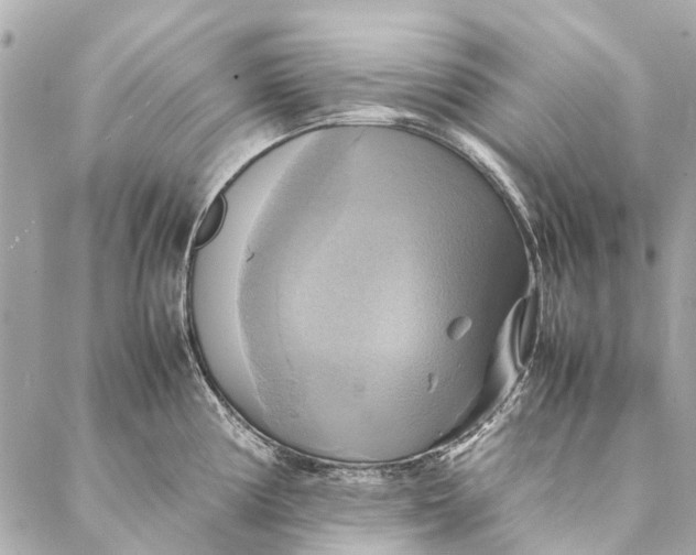 X0000086941194200705071410