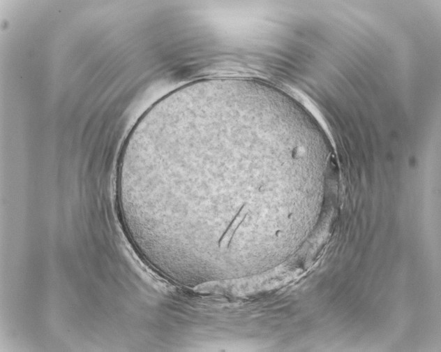 X0000086941195200705071410