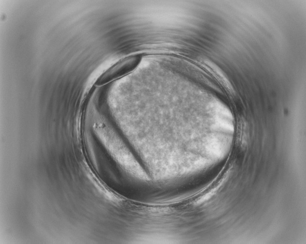 X0000086941196200705071410