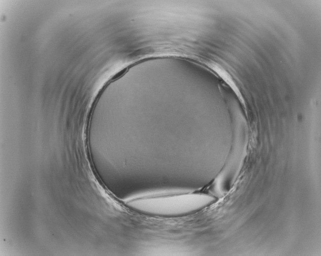 X0000086941197200705071410