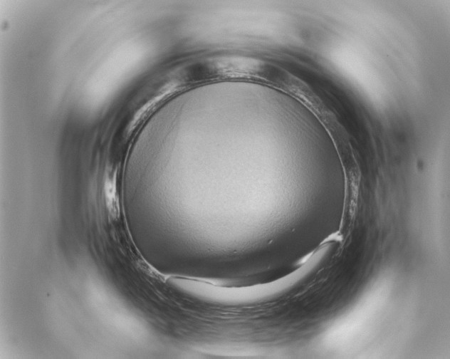 X0000086941198200705071410