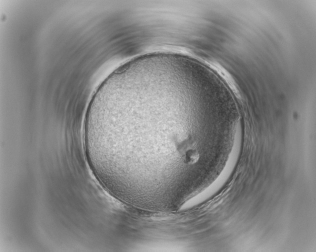 X0000086941199200705071410