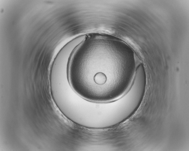 X0000086941200200705071410