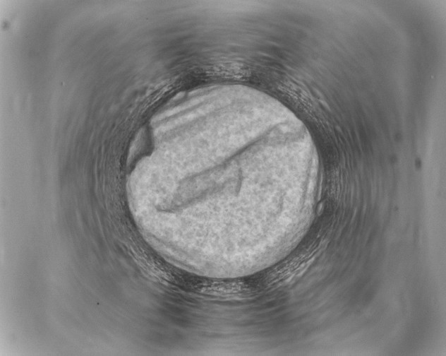 X0000086941201200705071409