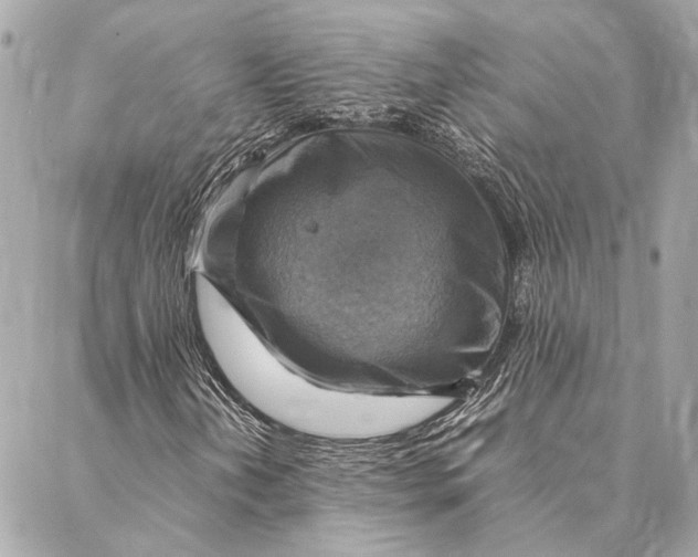 X0000086941202200705071409