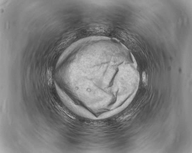 X0000086941203200705071409