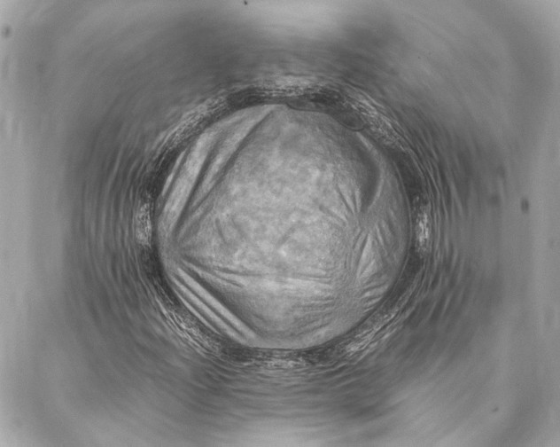 X0000086941204200705071409