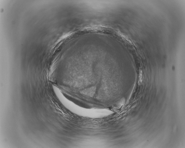 X0000086941206200705071409