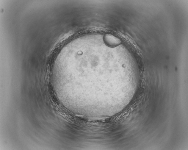 X0000086941207200705071409