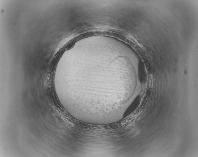 X0000086941208200705071409