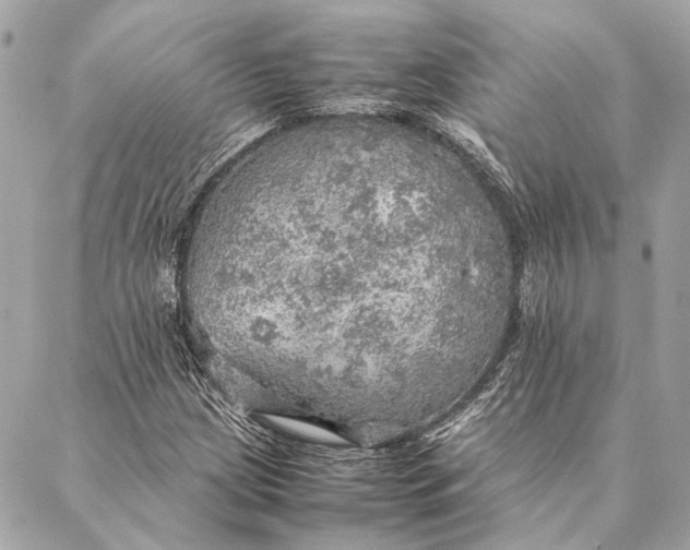 X0000086941209200705071409