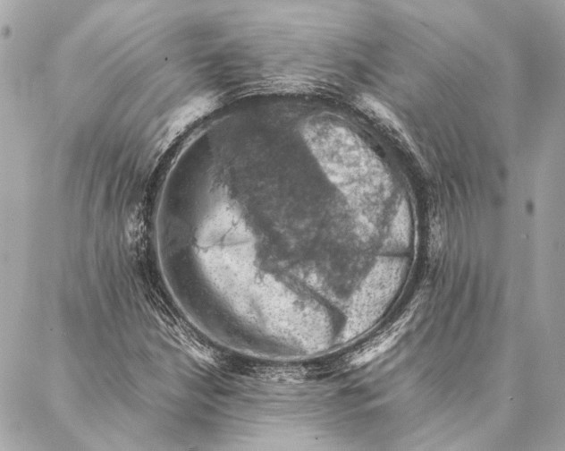 X0000086941210200705071409