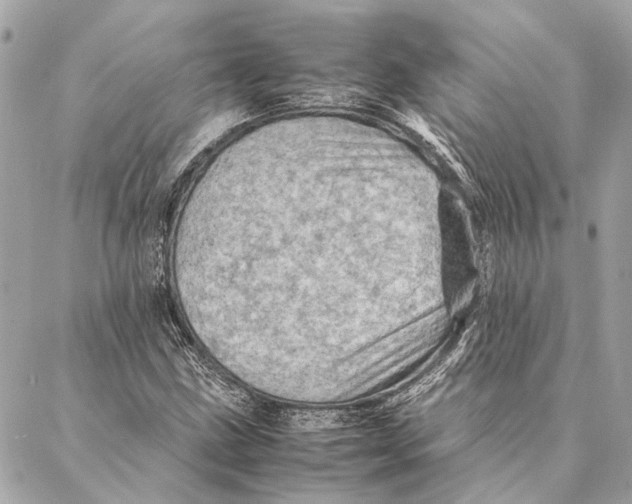 X0000086941211200705071409