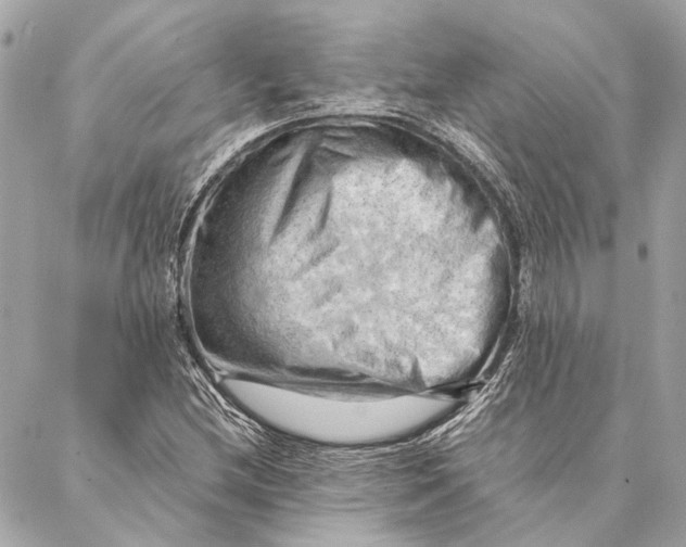 X0000086941212200705071409