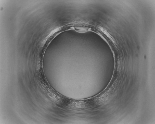 X0000086941213200705071409