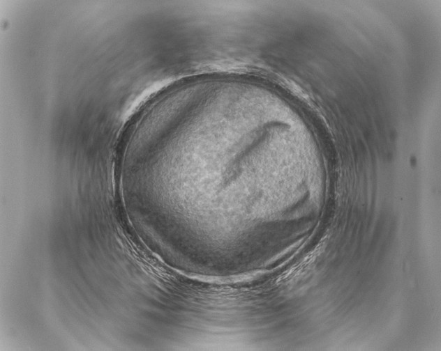 X0000086941214200705071409