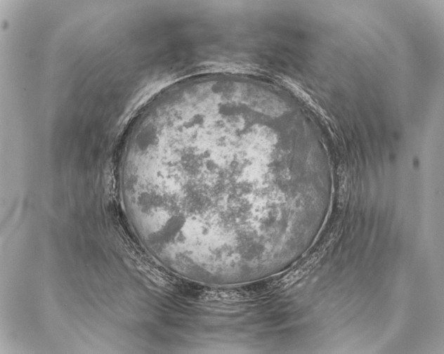 X0000086941215200705071410