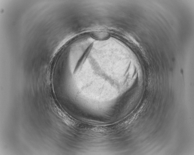 X0000086941216200705071410