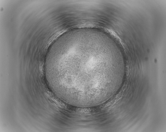 X0000086941217200705071410