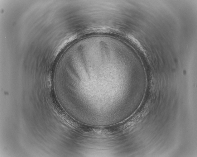 X0000086941218200705071410