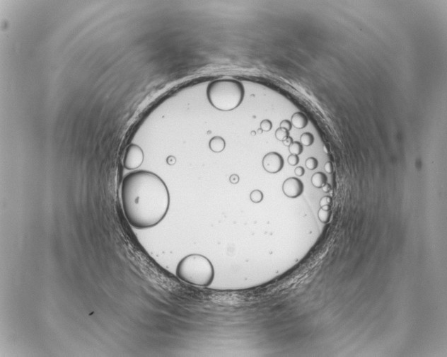 X0000086941220200705071410