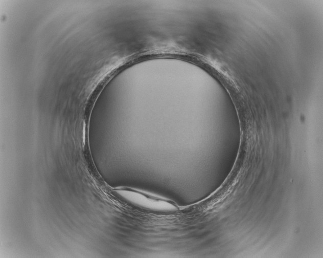 X0000086941221200705071410