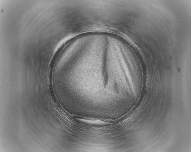 X0000086941222200705071410