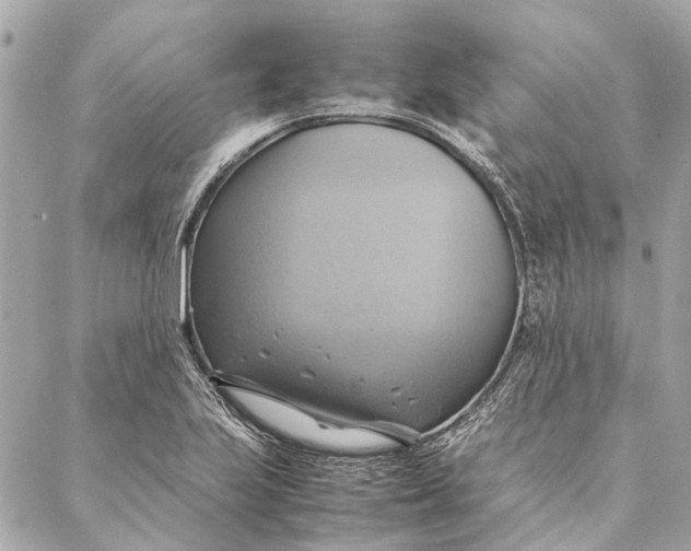 X0000086941223200705071410