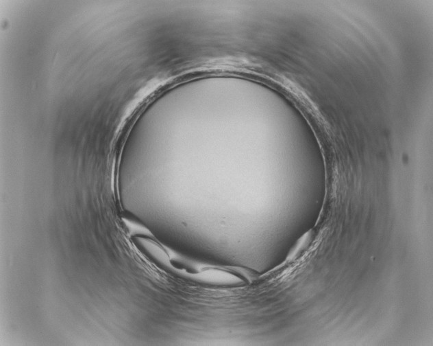 X0000086941224200705071410