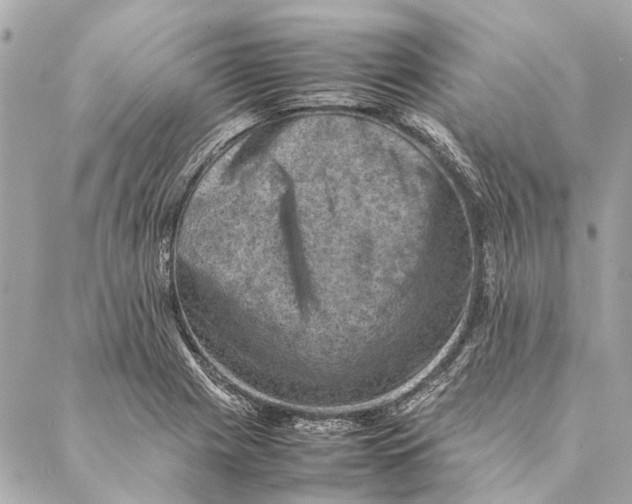 X0000086941225200705071410