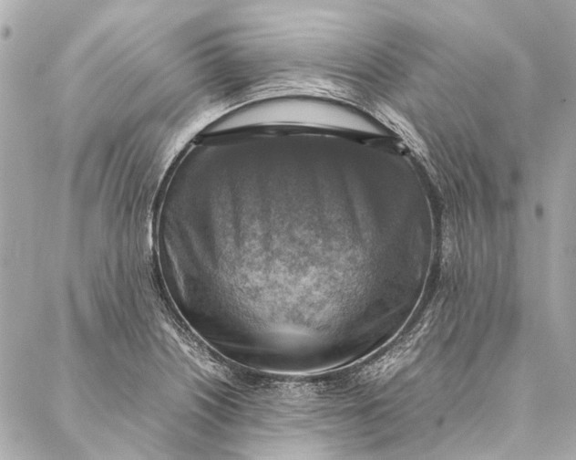 X0000086941226200705071410