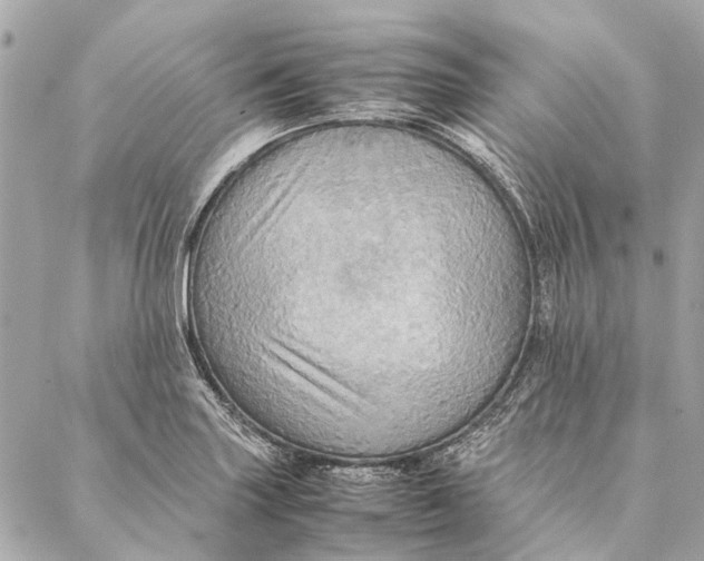 X0000086941227200705071410