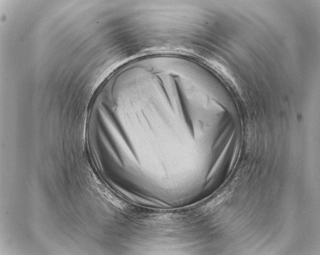 X0000086941228200705071410