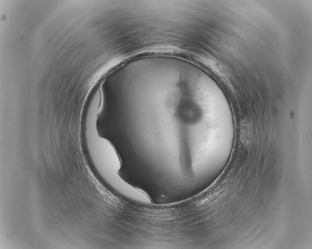 X0000086941229200705071410