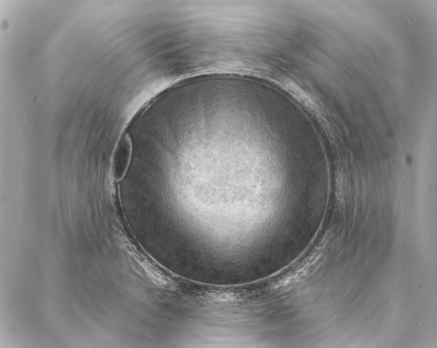 X0000086941230200705071410