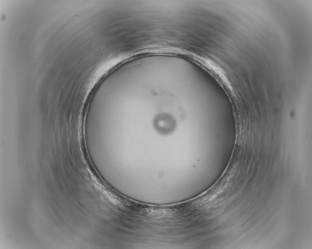 X0000086941231200705071410