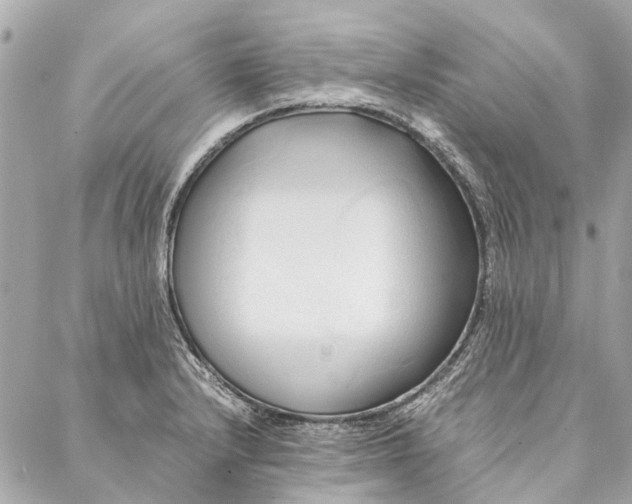 X0000086941232200705071410