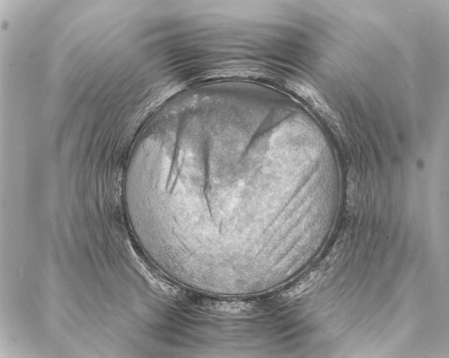 X0000086941233200705071410