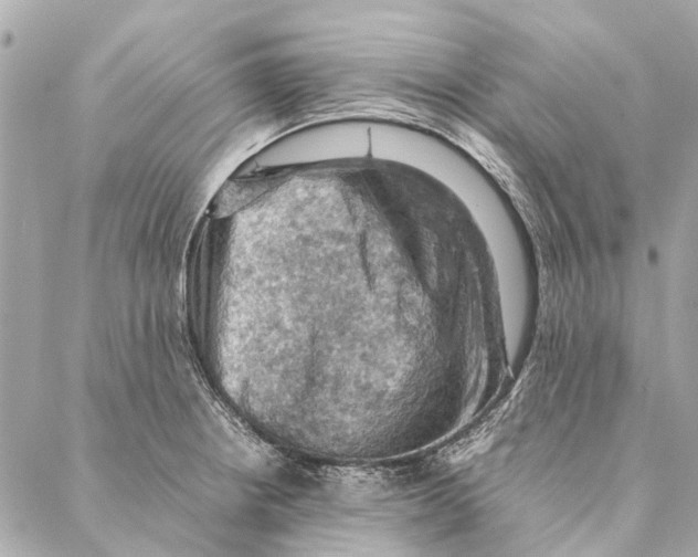 X0000086941234200705071410