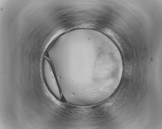 X0000086941235200705071410